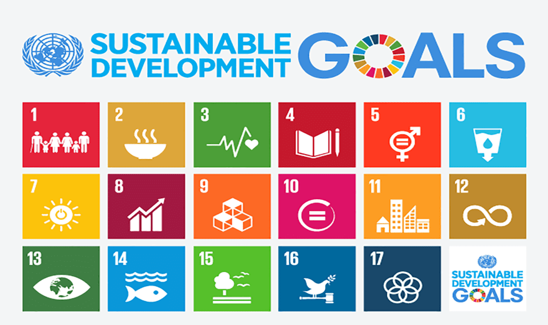 How universities can contribute to UN’s SDGs