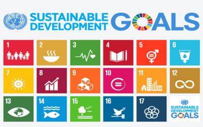 How universities can contribute to UN’s SDGs